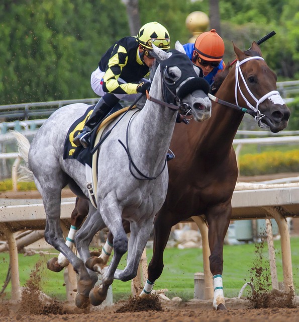 球竞争力 球竞争力