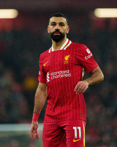 自被选入N 自被选入N