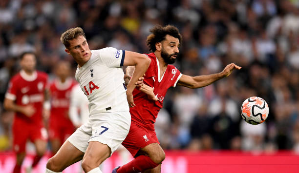 并非毫无根 并非毫无根